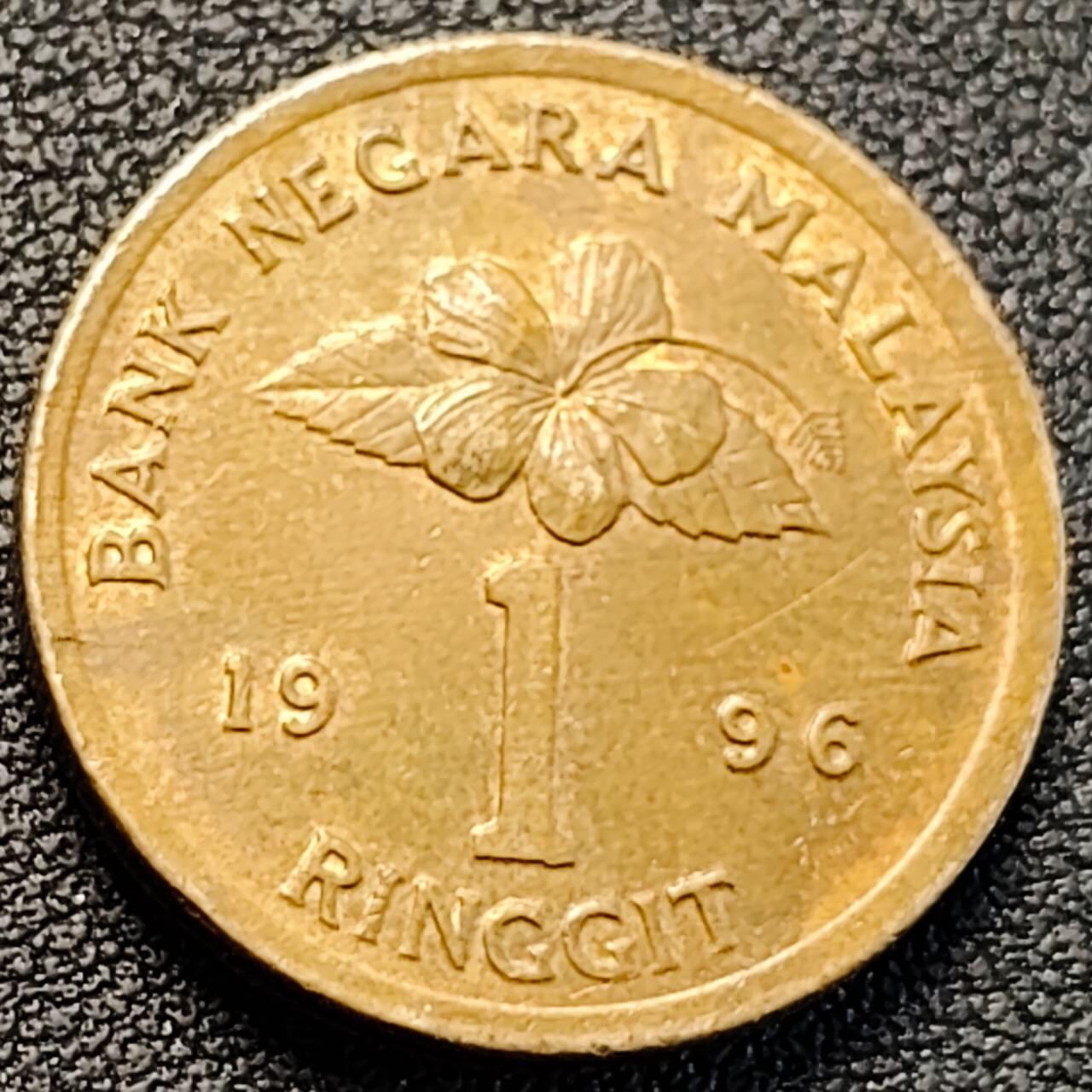 泉币菌-第187场- 精品福利场 （本周五和之前拍的 2月14日发货） 。