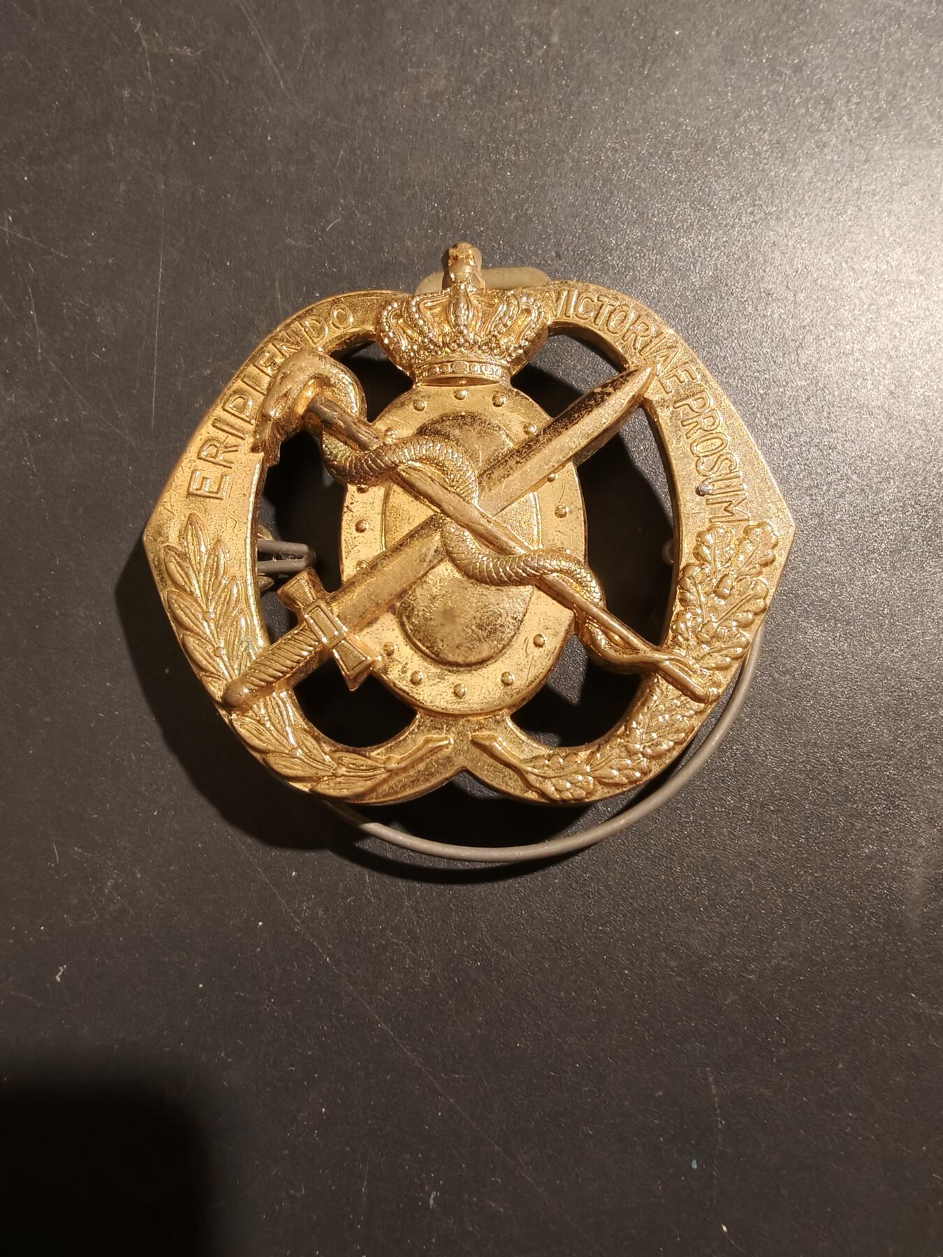 老王徽章第181期 荷兰皇家陆军军医帽徽     一战时期