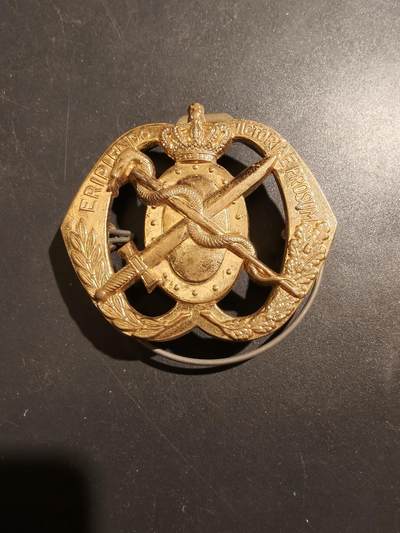 老王徽章第181期 - 荷兰皇家陆军军医帽徽     一战时期