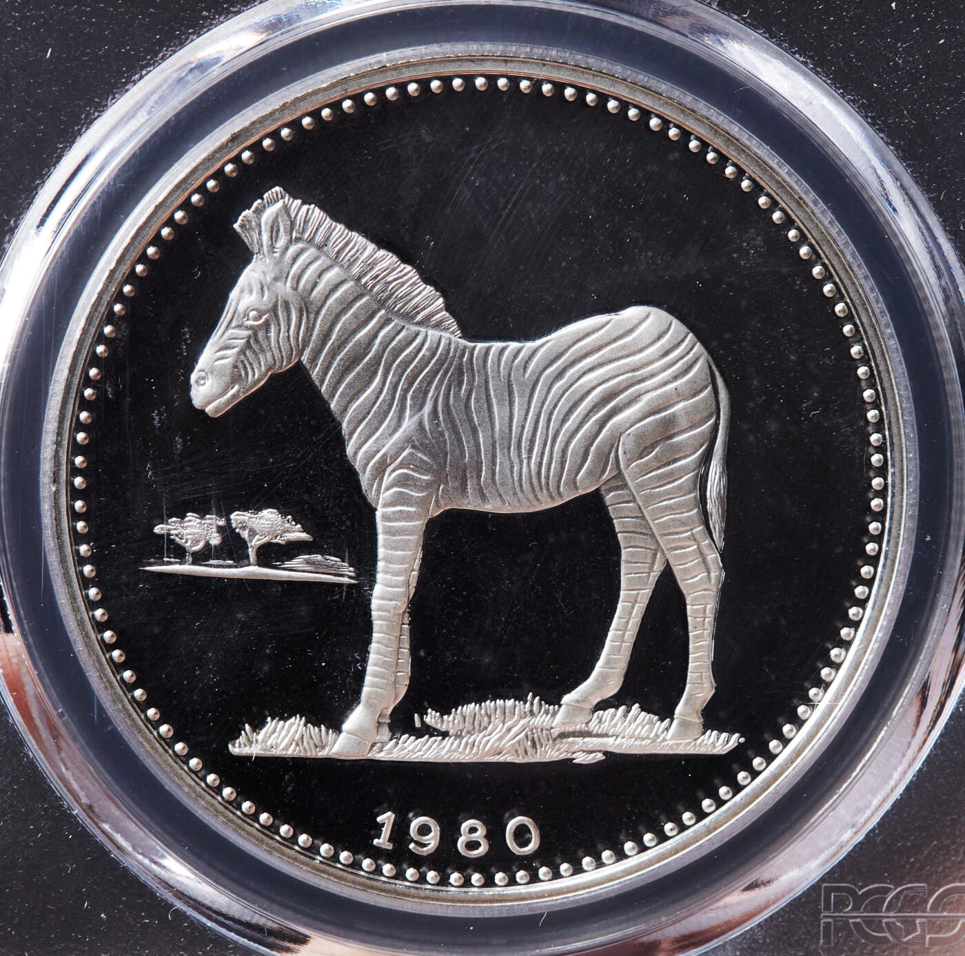 【俄甄集藏】马年新春第一拍 2026年(048)02-25星期三 晚 19:30 全场包邮 赤道几内亚1980年野生动物-伯切尔斑马2000依库雷精制大银币，PCGS PR68DC，重31克，927银，发行量1000枚，稀有品种