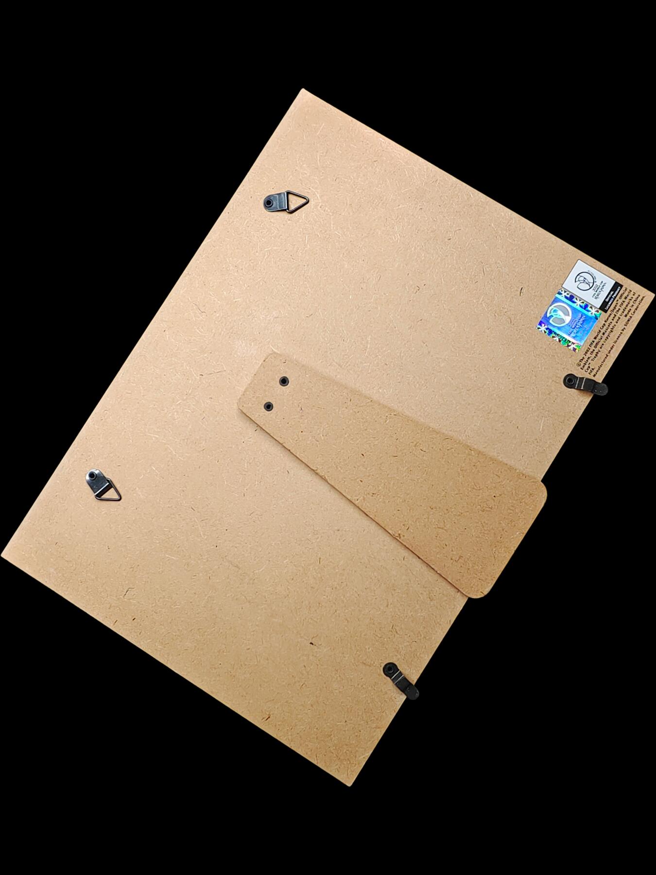 2002年韩日世界杯365倒计时纪念徽章原版授权产品 球迷收藏 足球纪念品