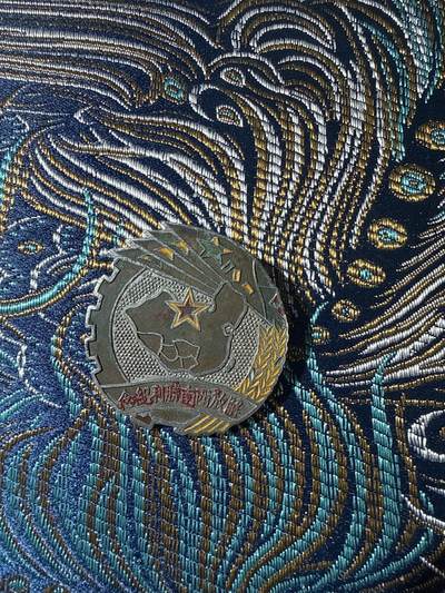 解放西南纪念章 - 解放西南纪念章