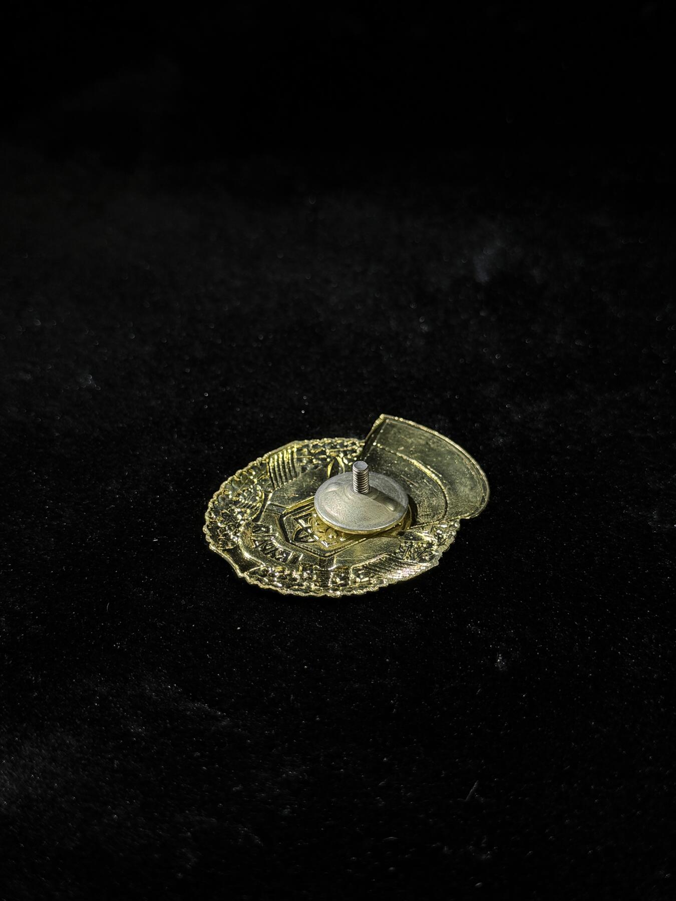 欢庆春节！戎马世界章牌大赏第111期春节大拍 乌克兰近卫军证章