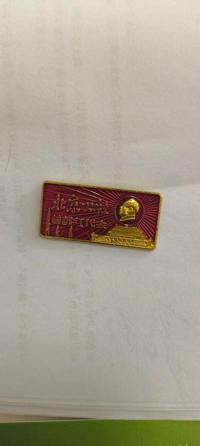 同乐放漏 - 非常稀少的毛主纪念章一枚，7cm