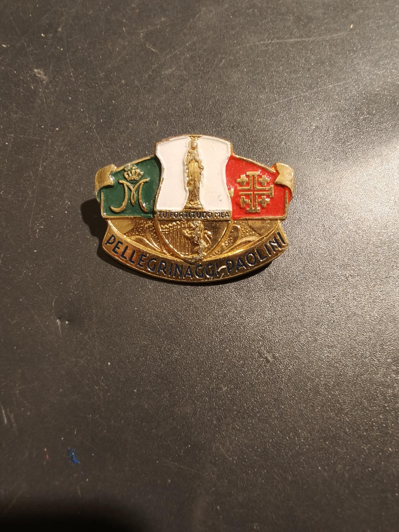 老王徽章第181期 意大利帕利尼奥朝圣团纪念章
