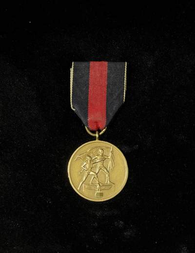 欢庆春节！戎马世界章牌大赏第111期春节大拍 - 德国二战苏台德回归奖章