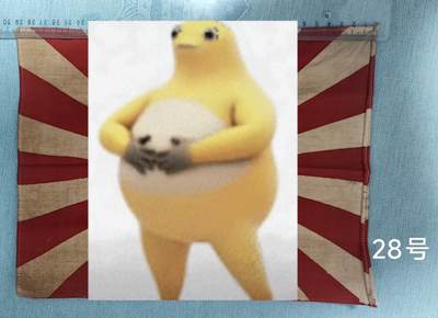 老俞小拍3 - 日本陆军旭日旗，长约29.5cm。原图私聊客服