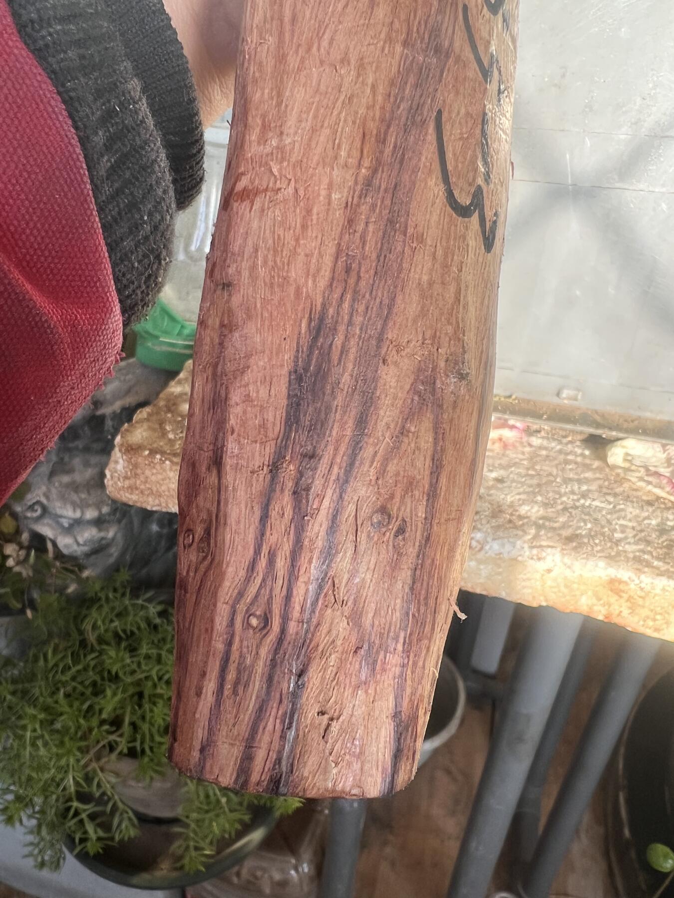 零元拍：NO.35-3海南黄花梨珠子把件料，外面白皮基本都去掉了，红肉打底花纹很漂亮。315/40/50MM