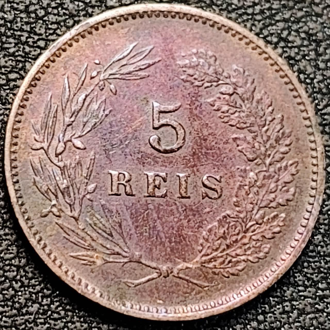 泉币菌-第187场- 精品福利场 （本周五和之前拍的 2月14日发货） 。