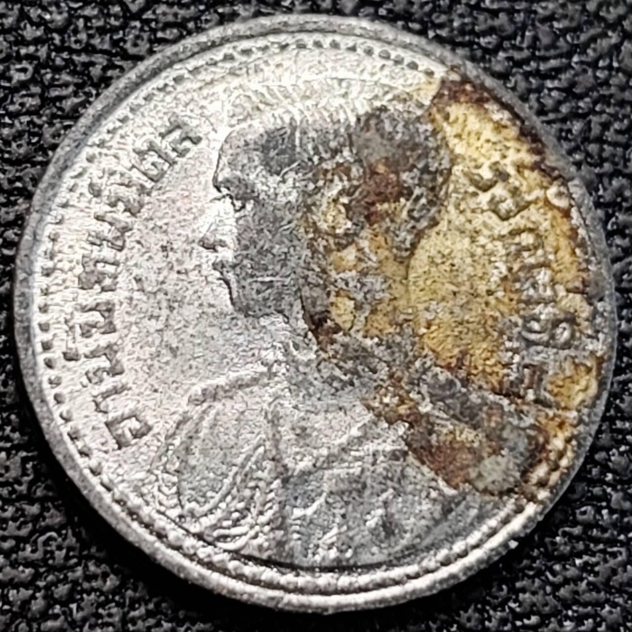 泉币菌-第187场- 精品福利场 （本周五和之前拍的 2月14日发货） 。