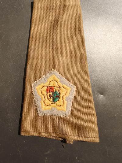 老王徽章第181期 - 南非国防军陆军堡垒准尉军衔滑套      使用时间1957-1996