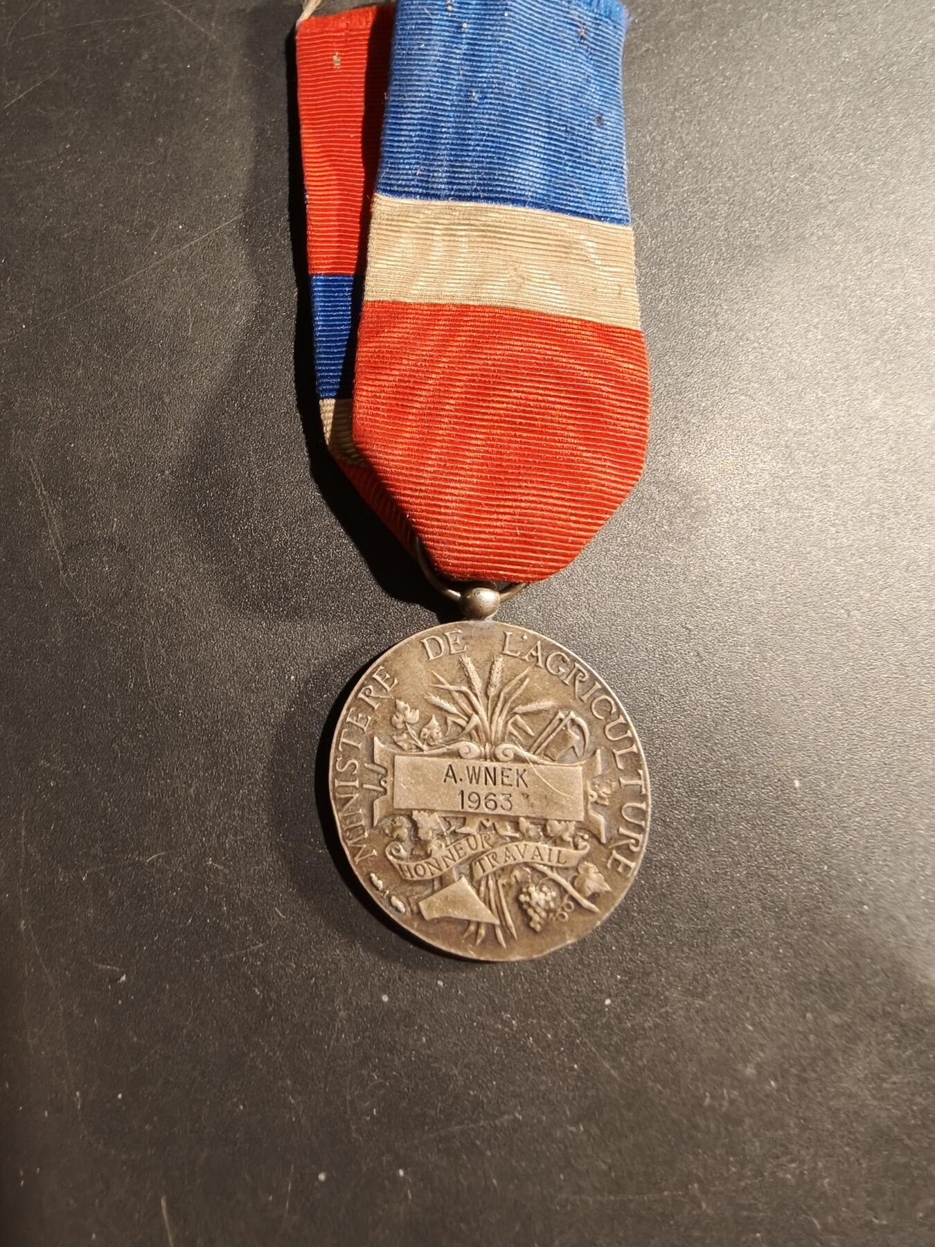 老王徽章第181期 法国银级劳工奖章   950银    少见农业部版    10.9g