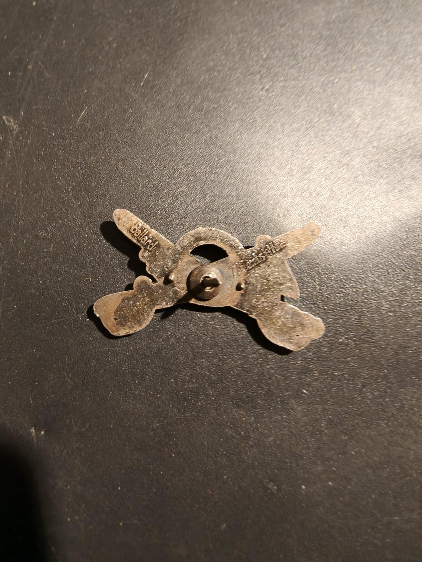 老王徽章第181期 比利时山地兵领章