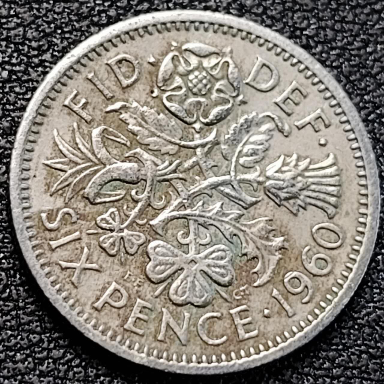 泉币菌-第187场- 精品福利场 （本周五和之前拍的 2月14日发货） 。