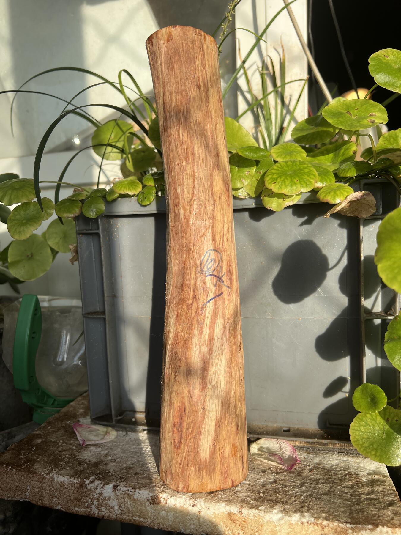 零元拍：NO.35-4海南黄花梨珠子把件料，外面白皮基本都去掉了，红肉打底花纹很漂亮。340/50/70MM