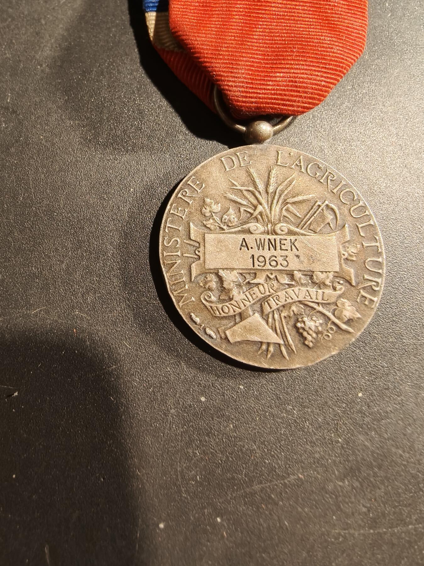 老王徽章第181期 法国银级劳工奖章   950银    少见农业部版    10.9g