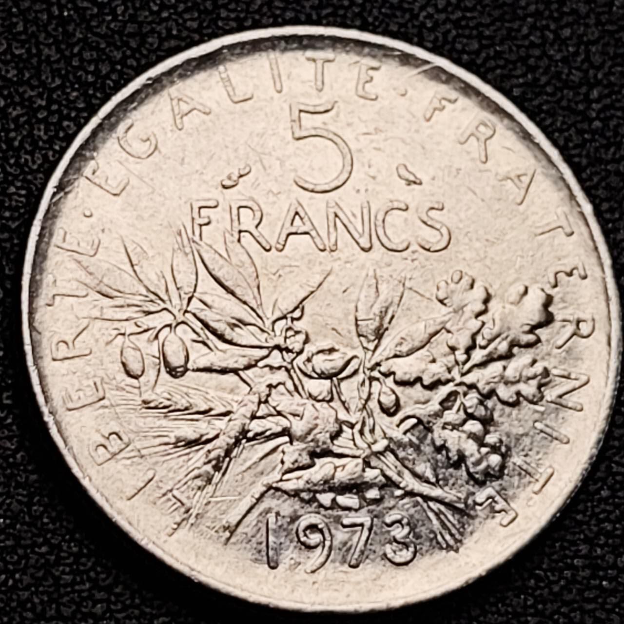 泉币菌-第187场- 精品福利场 （本周五和之前拍的 2月14日发货） 。