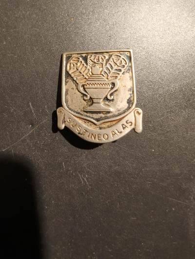 老王徽章第181期 - 二战美国陆军航空队技术训练司令部证章      925银     二战时期横针版