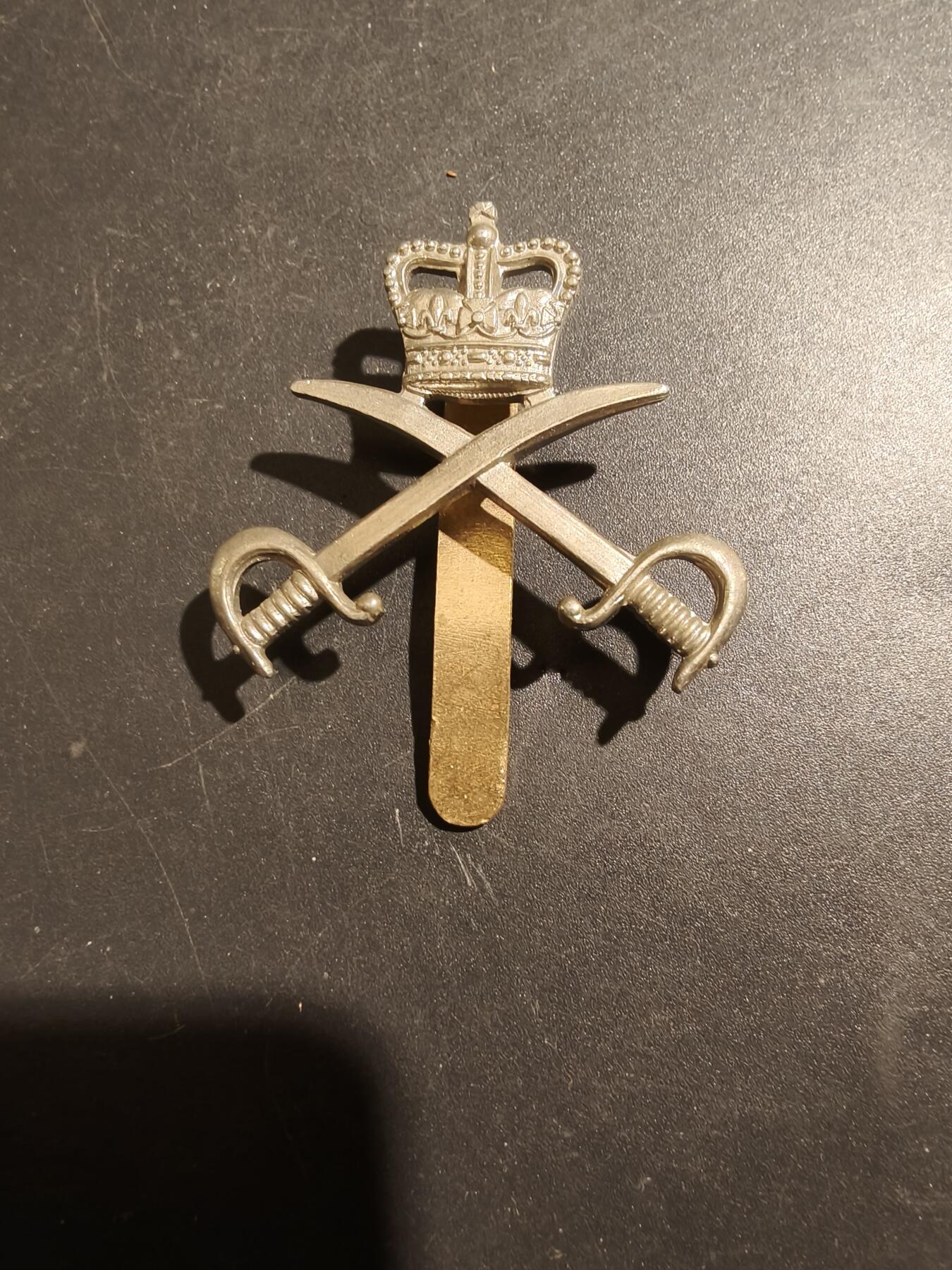老王徽章第181期 英国皇家陆军体能训练团帽徽    女王时期