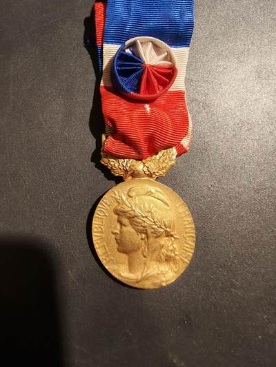 老王徽章第181期 - 法国金级劳动荣誉奖章