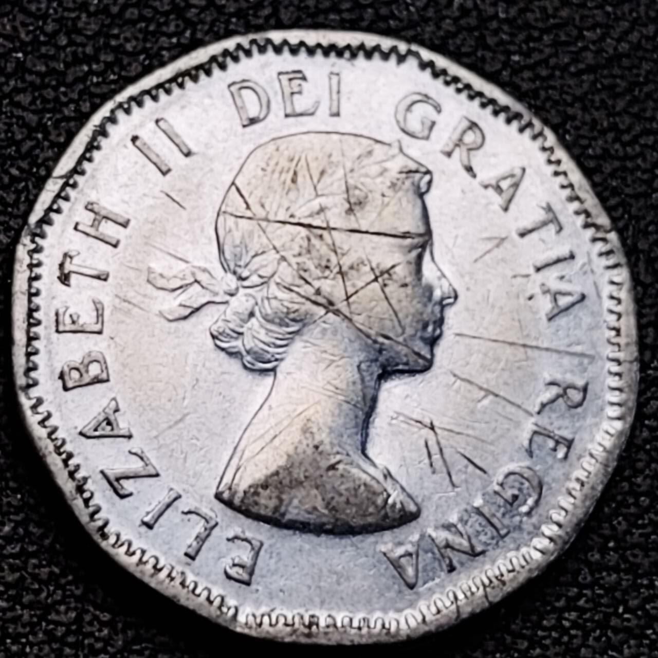 泉币菌-第187场- 精品福利场 （本周五和之前拍的 2月14日发货） 。