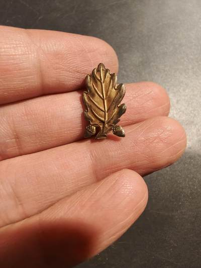 老王徽章第181期 - 美国海军牙科军医领章    二战时期横针版    925银包10k金    