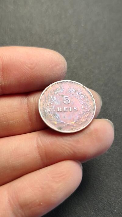 泉币菌-第187场- 精品福利场 （本周五和之前拍的 2月14日发货） 。