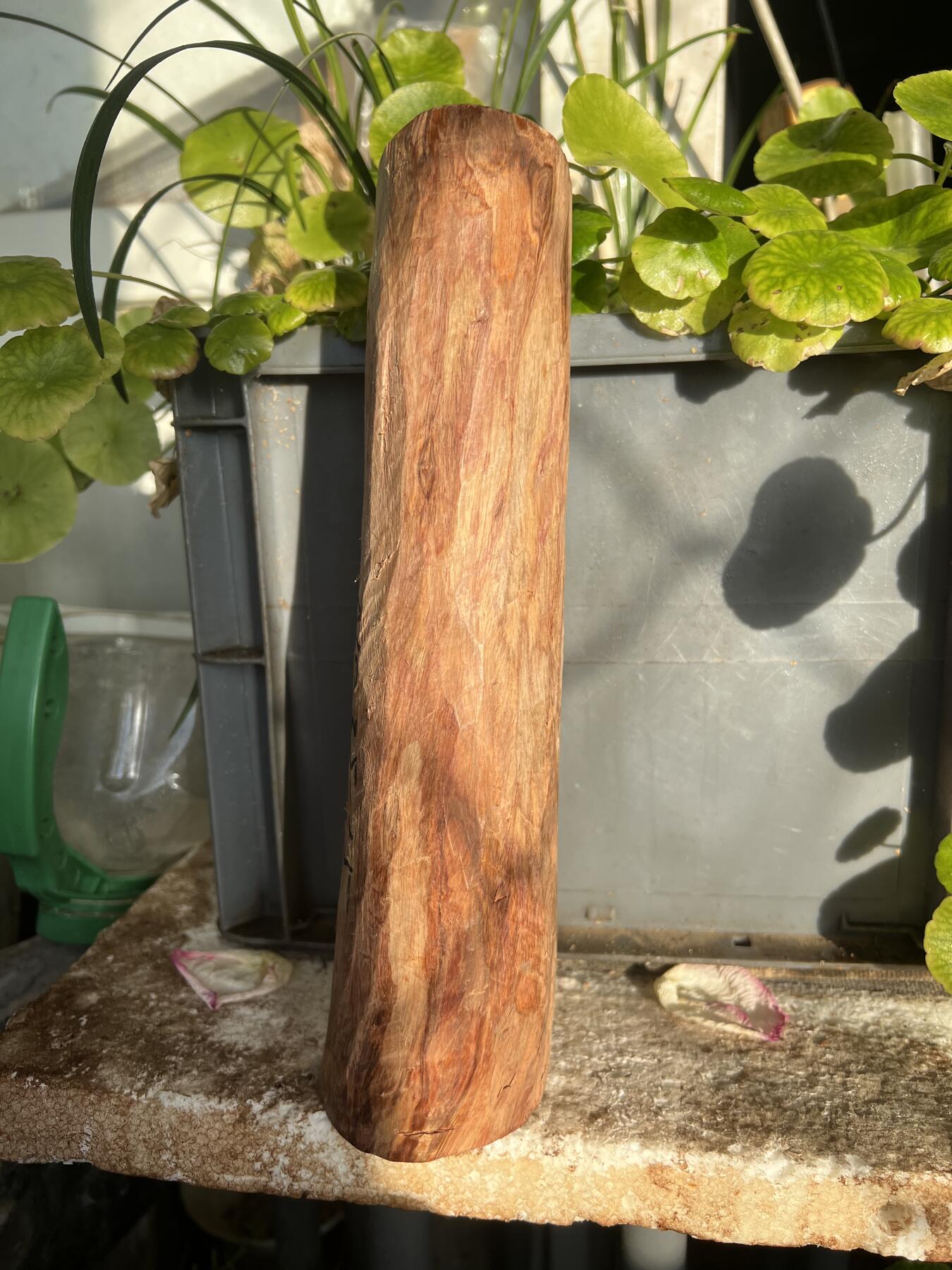 零元拍：NO.35-15海南黄花梨珠子把件料，外面白皮基本都去掉了，红肉打底花纹很漂亮。265/65/70MM