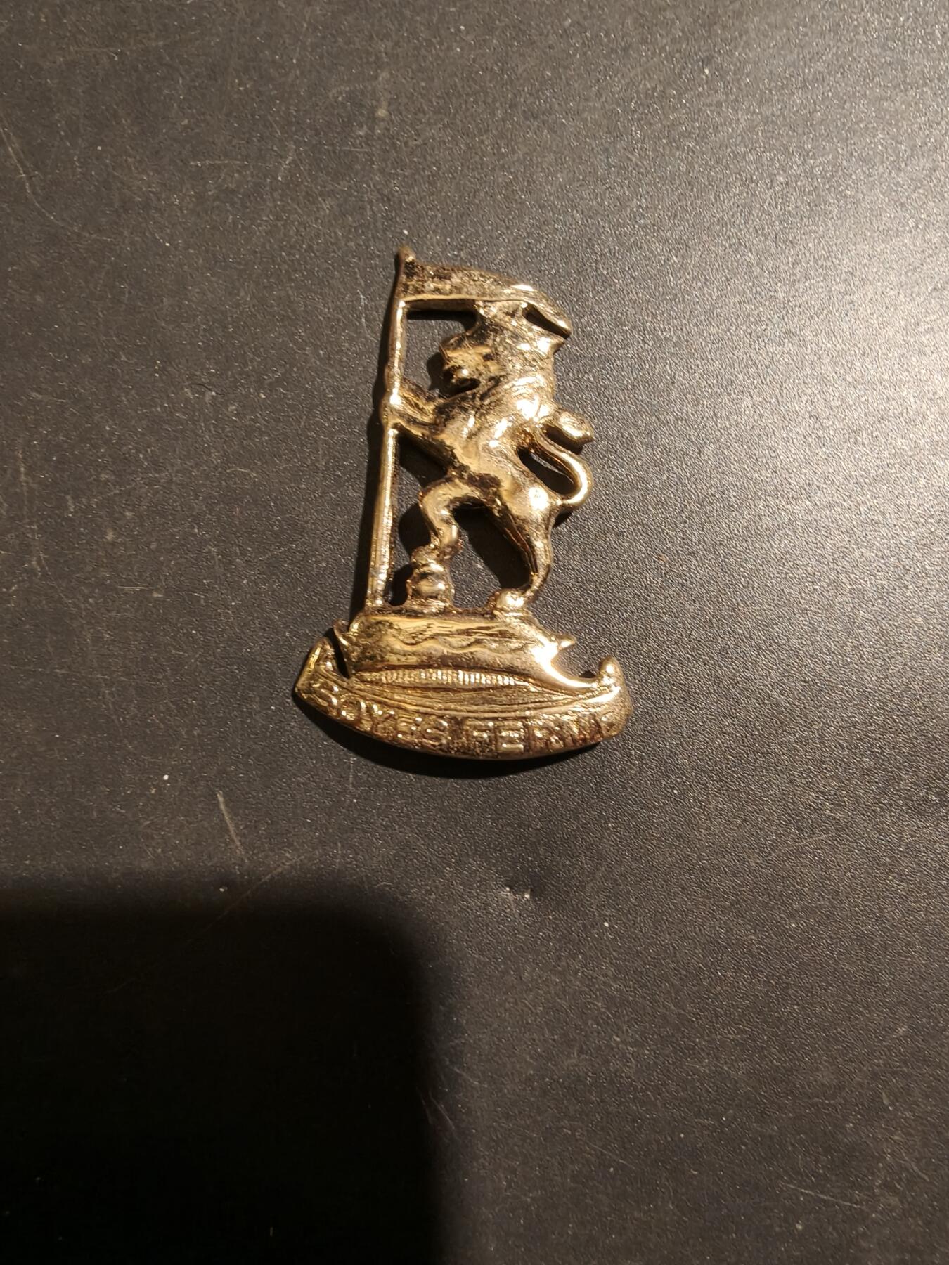 老王徽章第181期 英联邦新西兰步枪旅证章