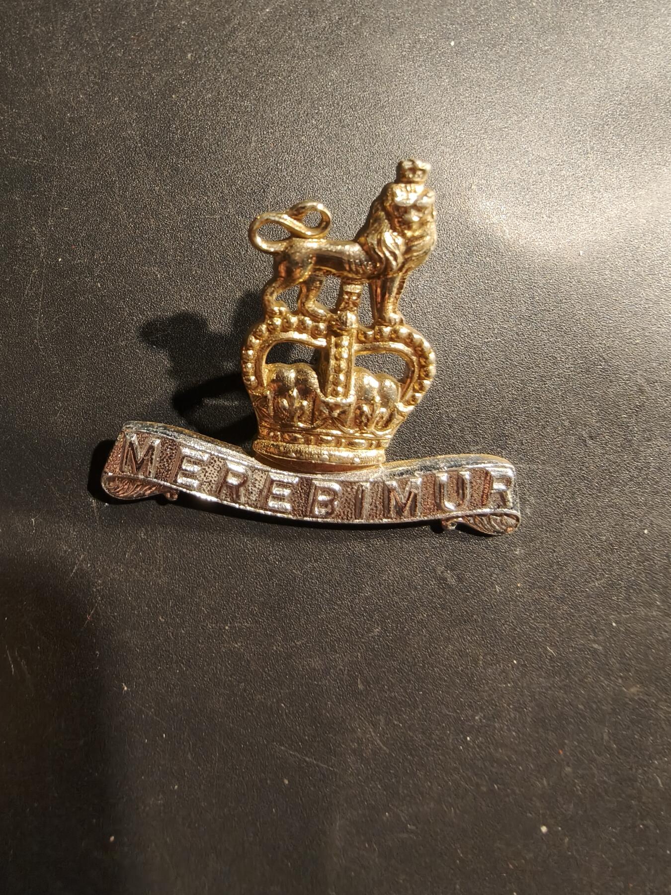老王徽章第181期 英国第15/19皇家骠骑兵团领章    女王时期