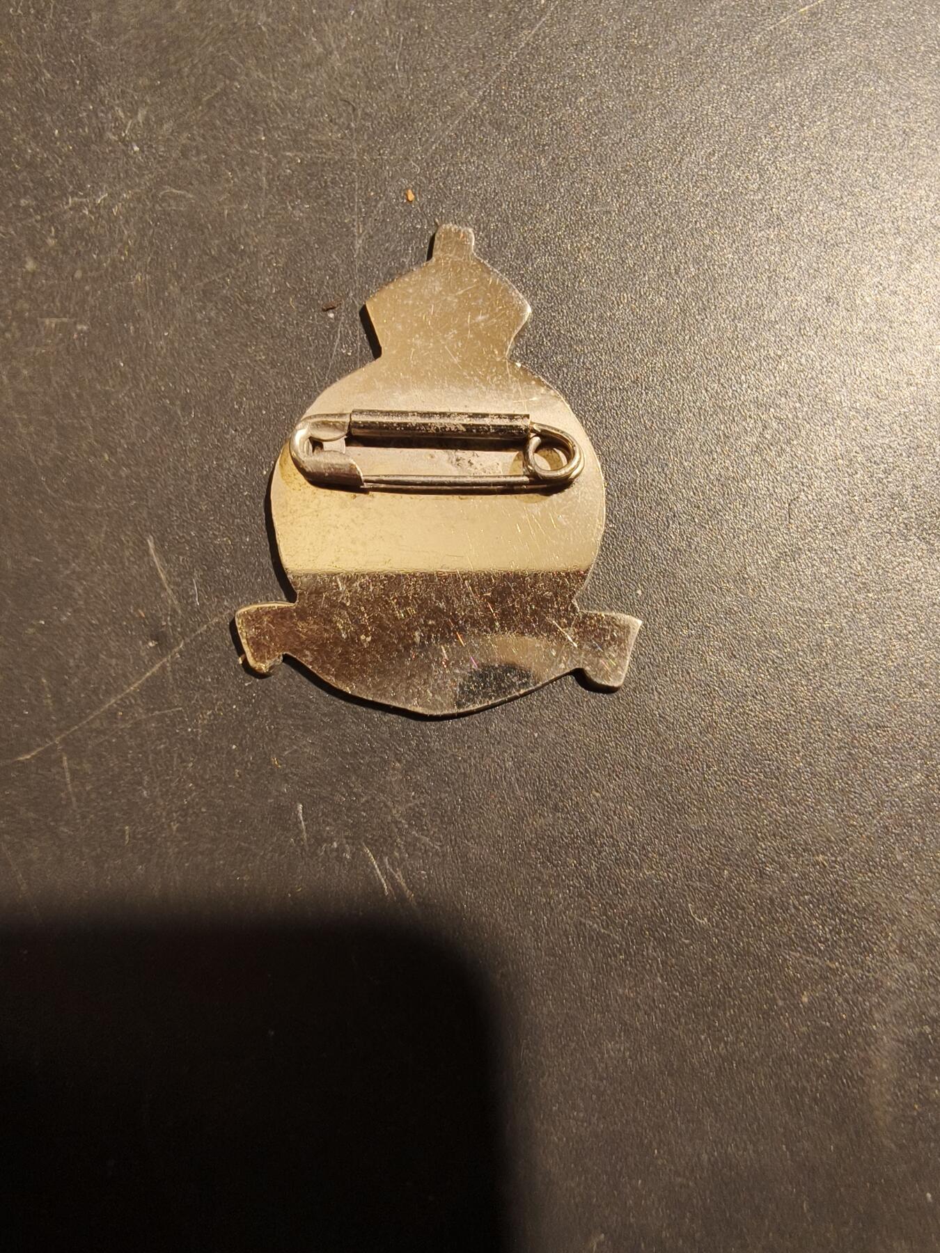 老王徽章第181期 英国皇家空军轰炸机分队证章