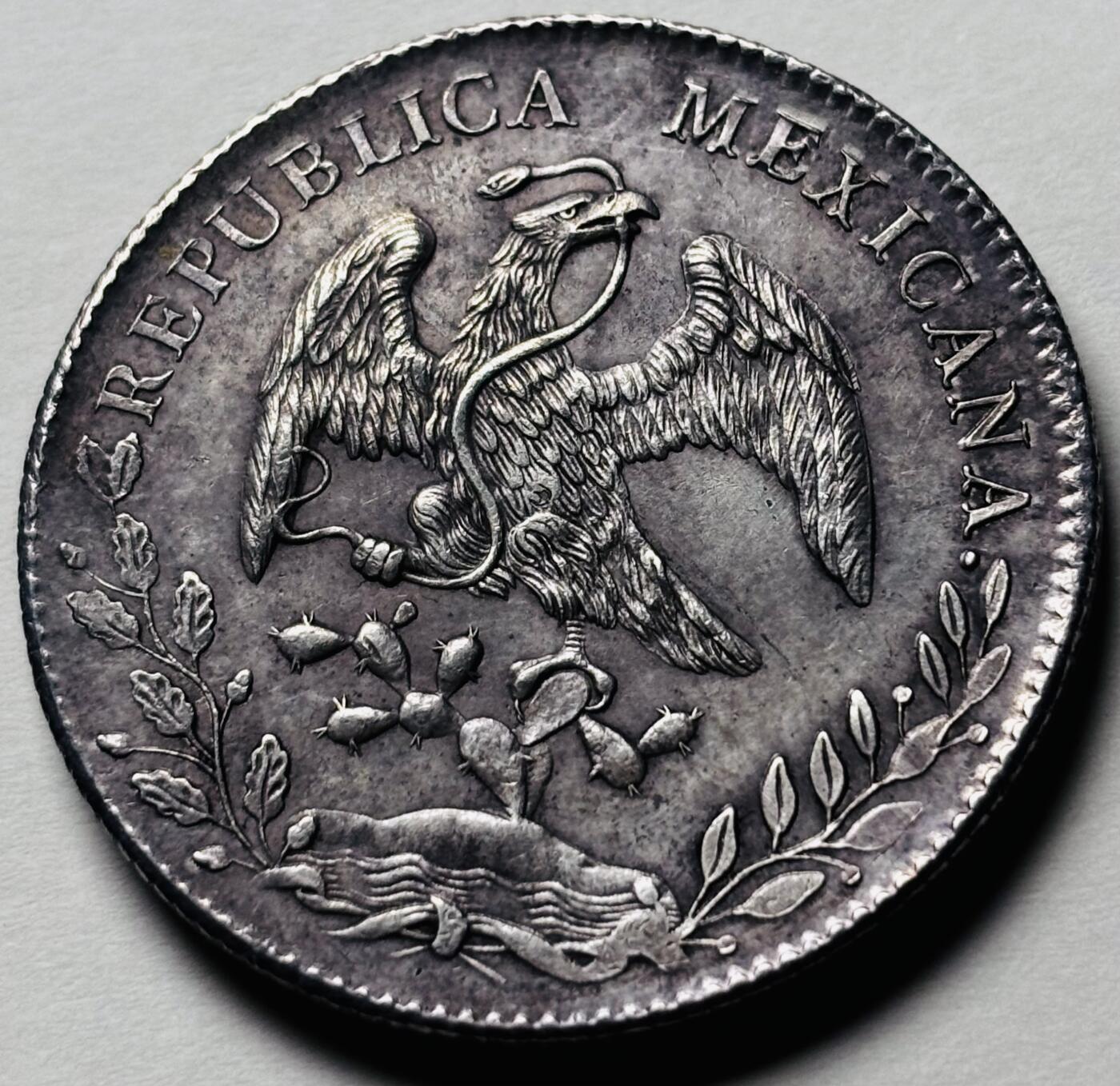 【金马踏春，泉马奔腾】2026 年新年贺岁场，（定于年初五接财神截拍）祝各位老板马到成功，马上有钱，愿岁岁平安喜乐顺遂 少见 1892 年墨西哥第二共和国 花边鹰洋银元，27 克 900 银，紫彩带光