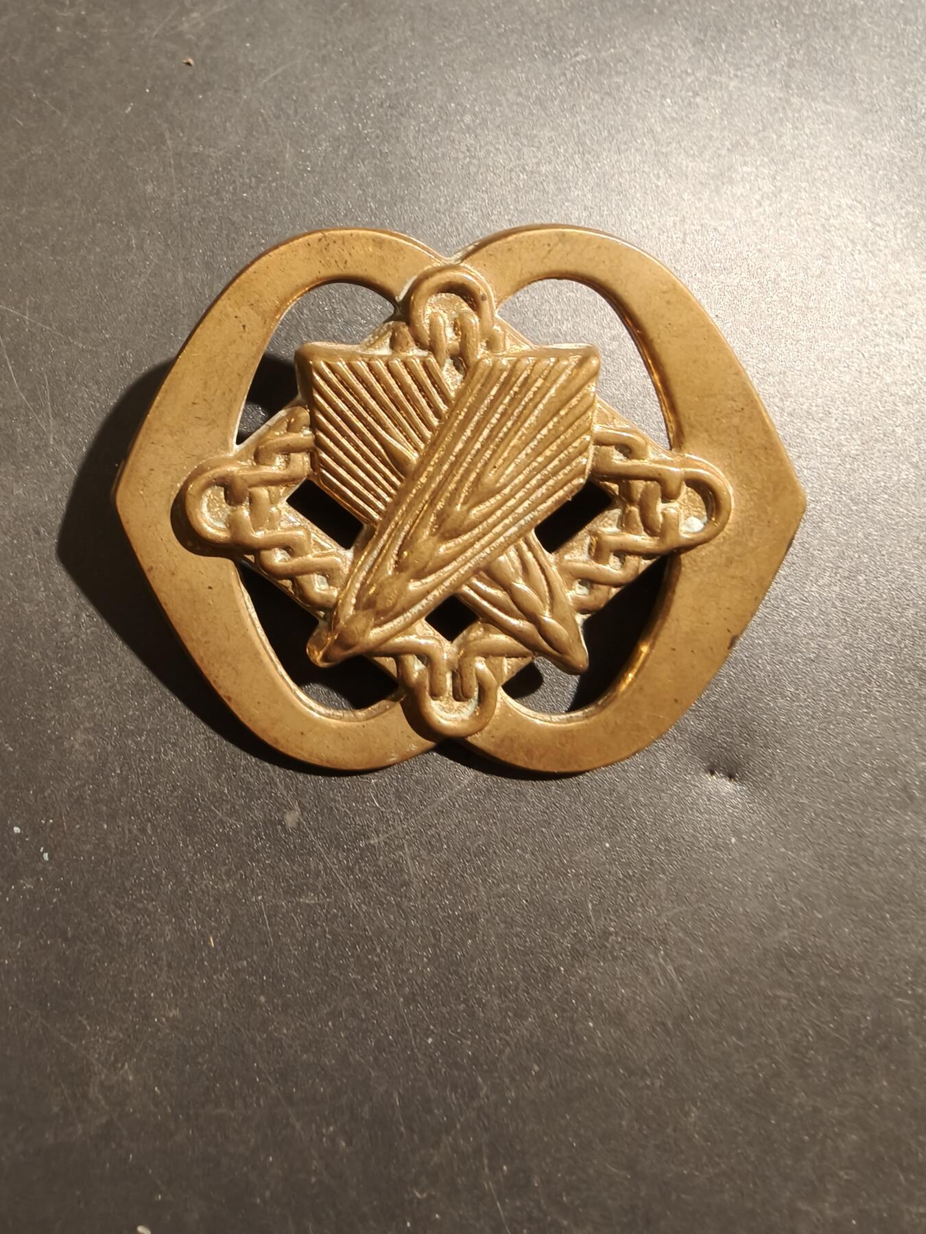 老王徽章第181期 荷兰陆军服务兵团帽徽    二战时期