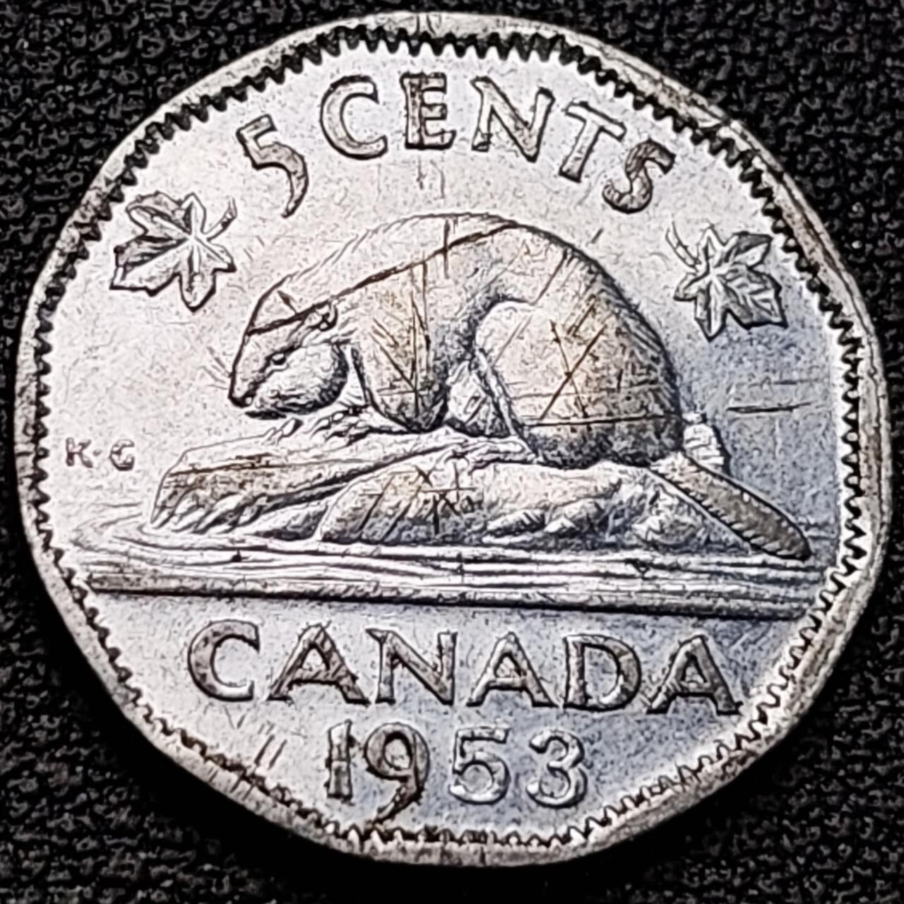 泉币菌-第187场- 精品福利场 （本周五和之前拍的 2月14日发货） 。