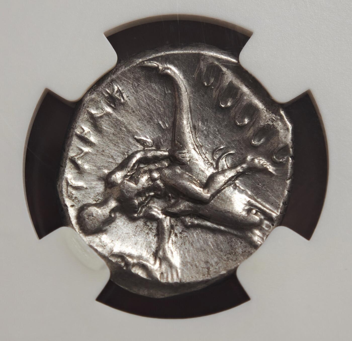 2026年2月捡漏拍 古希腊塔拉斯海豚少女银币