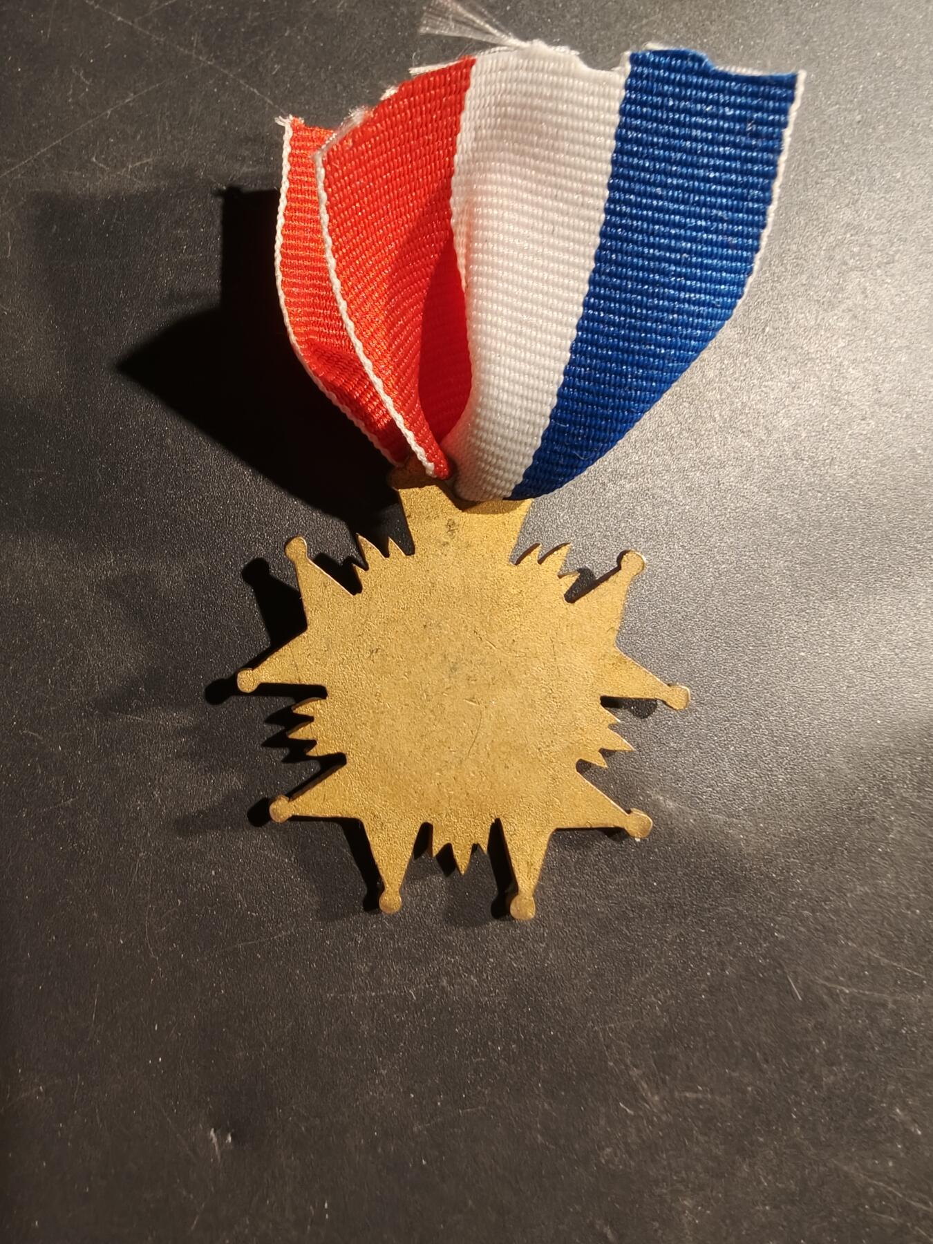 老王徽章第181期 法国图卢兹救生员互助会奖章