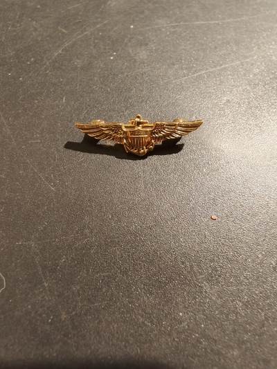 老王徽章第181期 - 美国海军航空兵飞行员证章    二战时期横针版    少见迷你尺寸直径0.5英寸