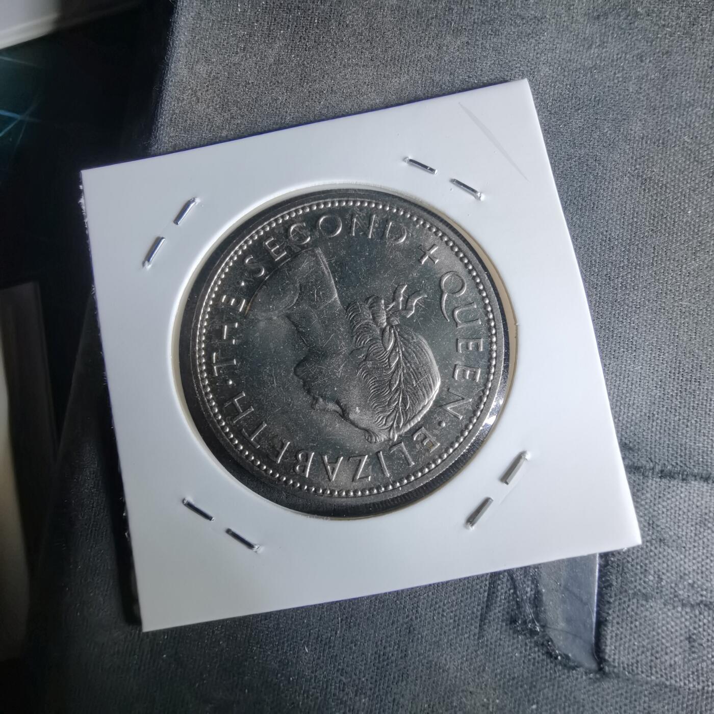 沼泽如烟--第990场