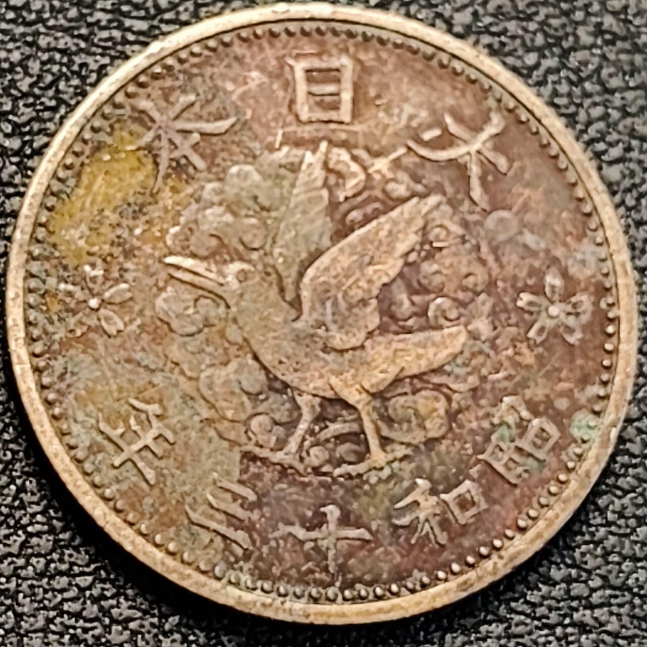 泉币菌-第188场- 精品福利场（192场和之前的 2月14日发货） 。