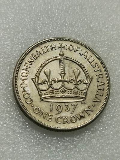 天下钱庄专场欢迎参拍 - 澳大利亚皇冠银币