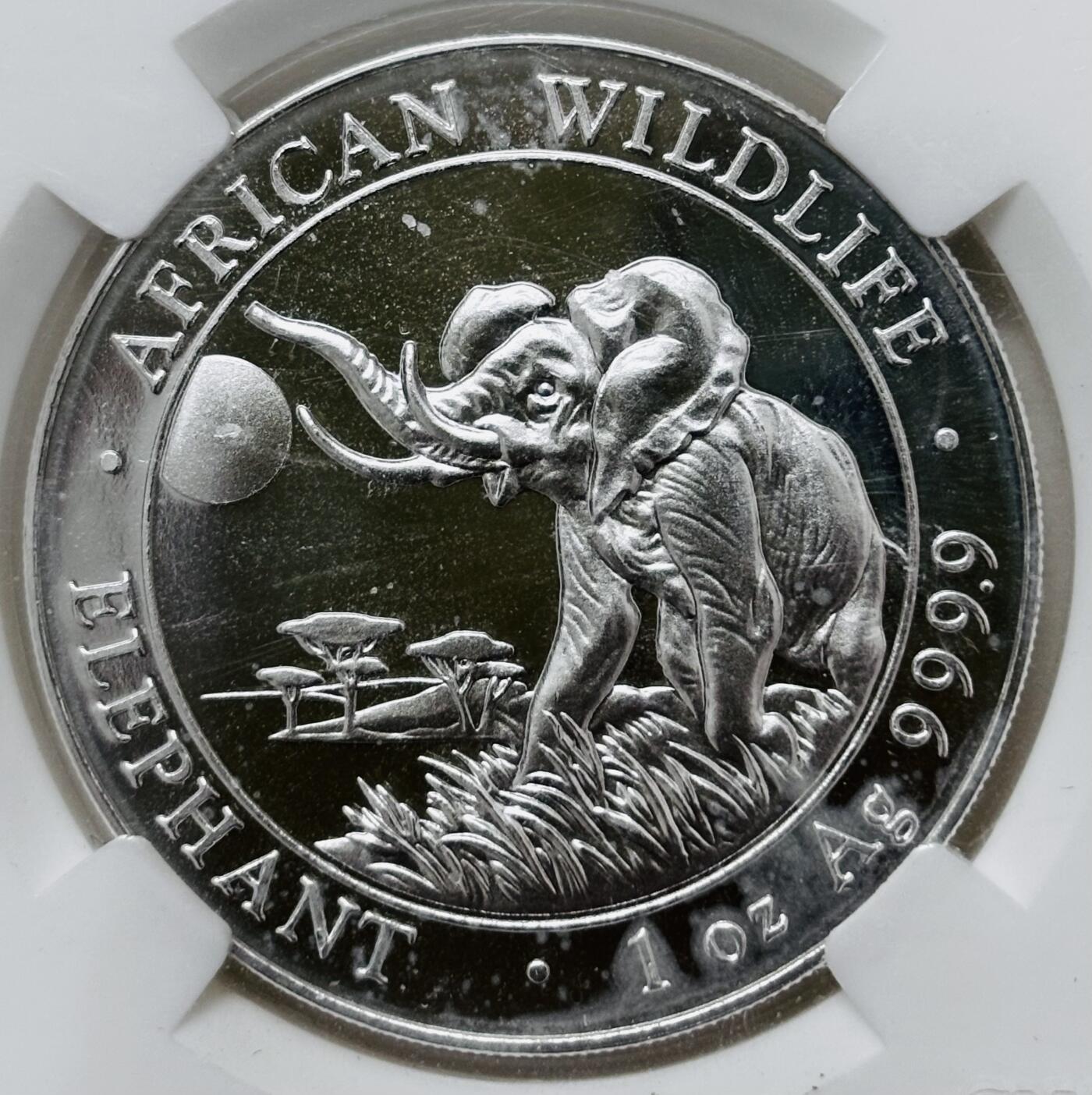 【金马踏春，泉马奔腾】2026 年新年贺岁场，（定于年初五接财神截拍）祝各位老板马到成功，马上有钱，愿岁岁平安喜乐顺遂 CNCS MS69 亚军分 2016 年索马里 100 先令大象大银币，31.1 克 999 纯银