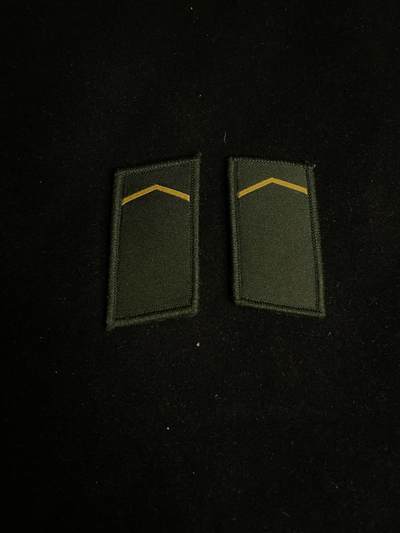 杂勋专场 - 领章一副