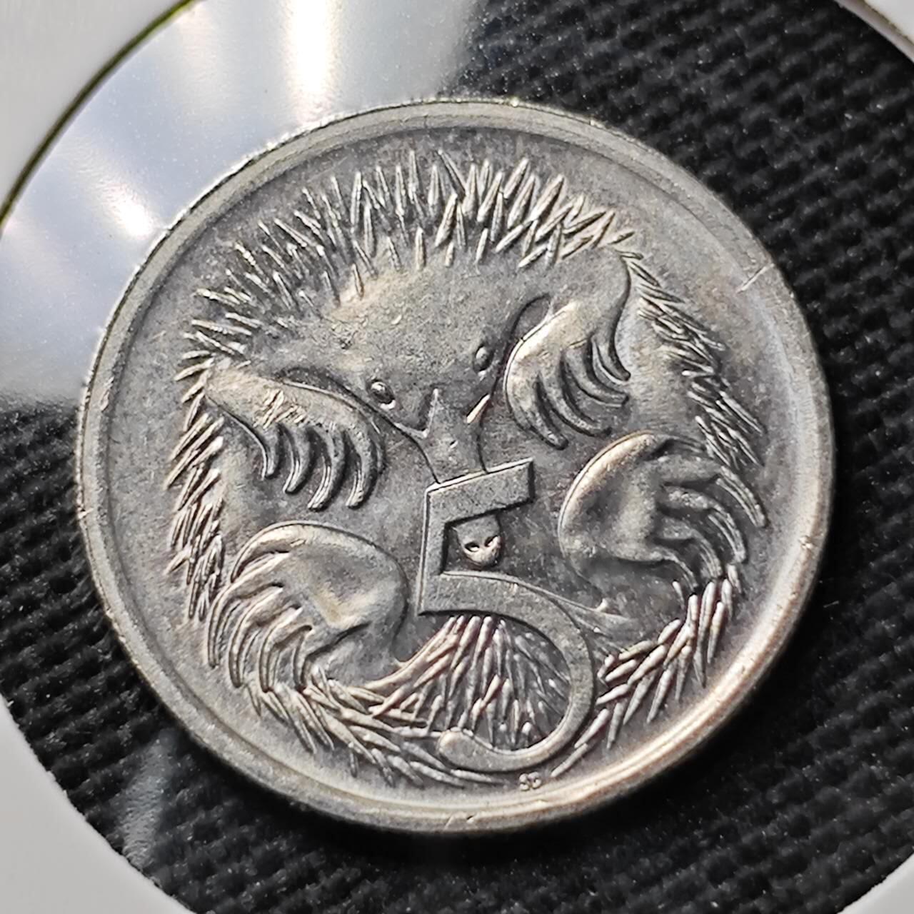 KK钱币收藏小铺  第395期  2月预留时间 周末发货