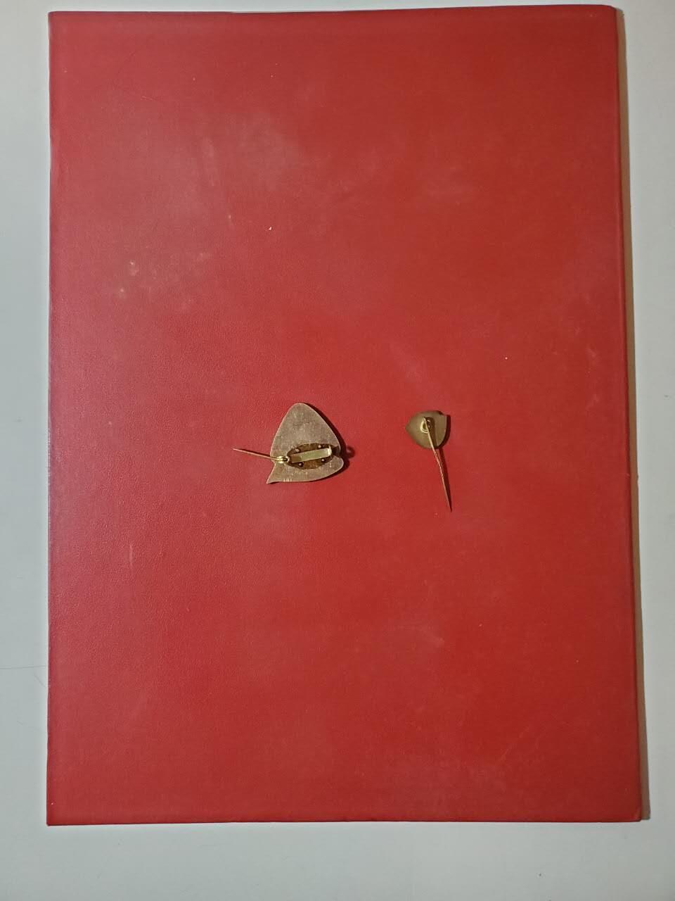 韵星假日军品类拍卖第40期 -- Rimey Holidays Militaria Auction 40 民主德国dtsb体育协会优秀成员证章、插针带证书一套