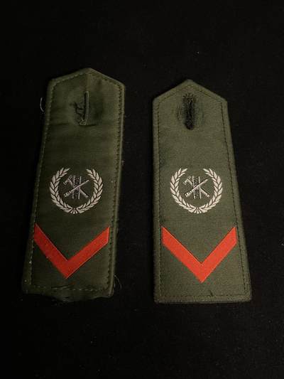 杂勋专场 - 肩章一副