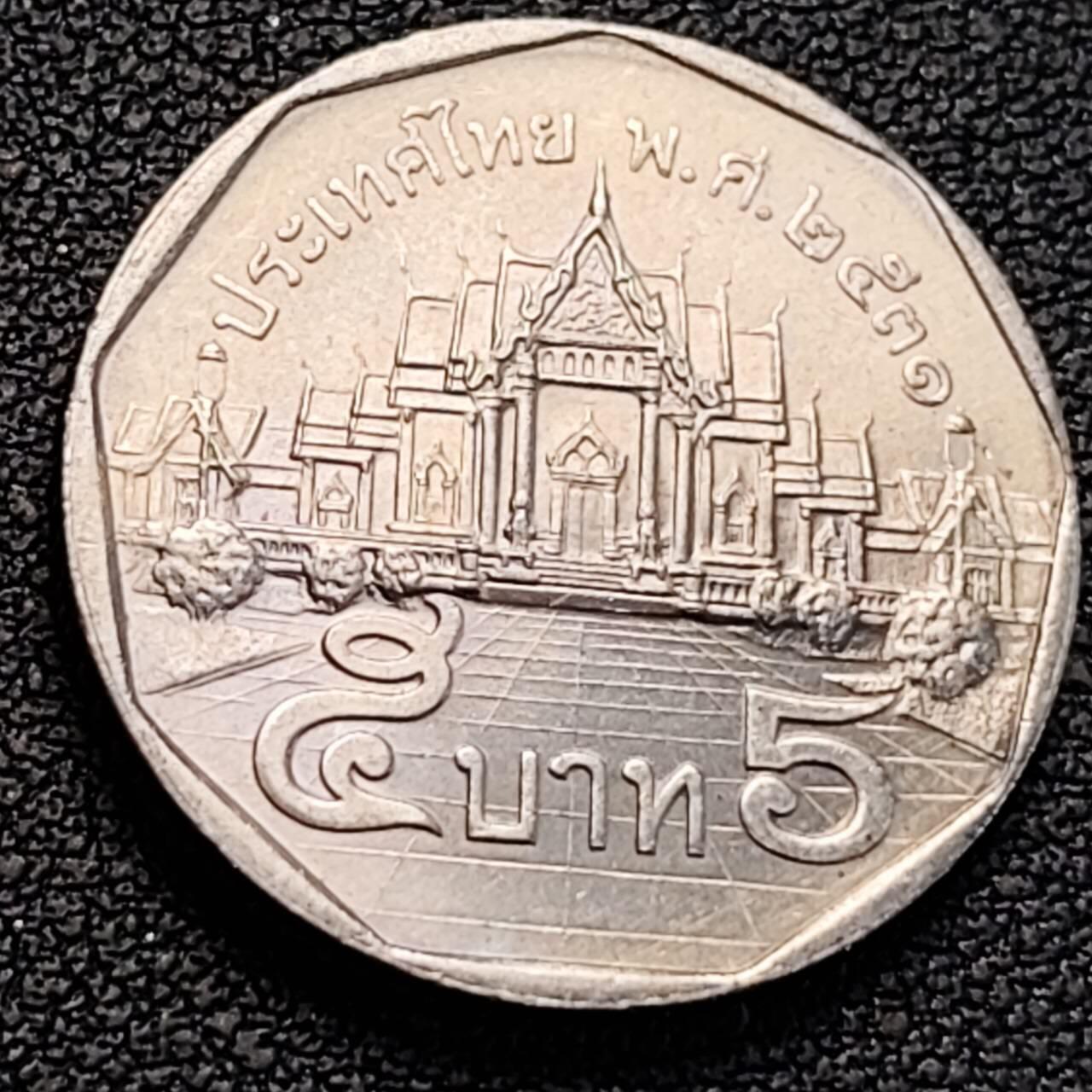 泉币菌-第186场- 小年快乐 精品福利场（本周五和之前的 2月14日发货）