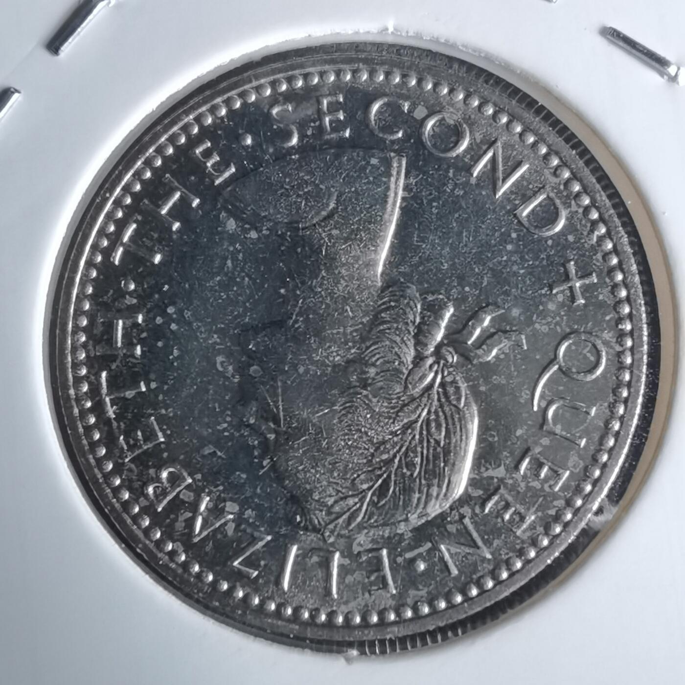 沼泽如烟--第990场