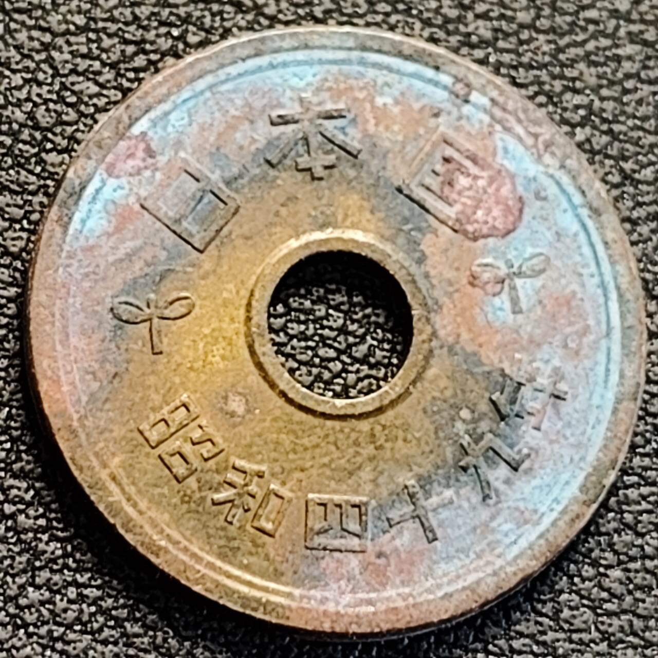 泉币菌-第186场- 小年快乐 精品福利场（本周五和之前的 2月14日发货）