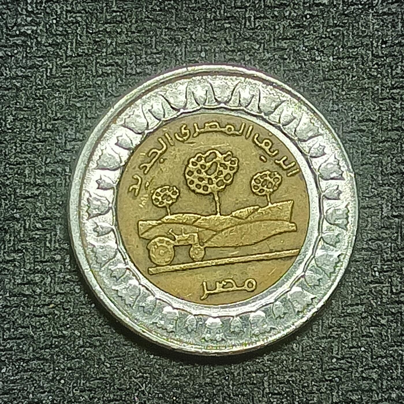 逸泉钱币2026B第十场世界钱币纪念币专场B1231-1615 1434埃及1镑