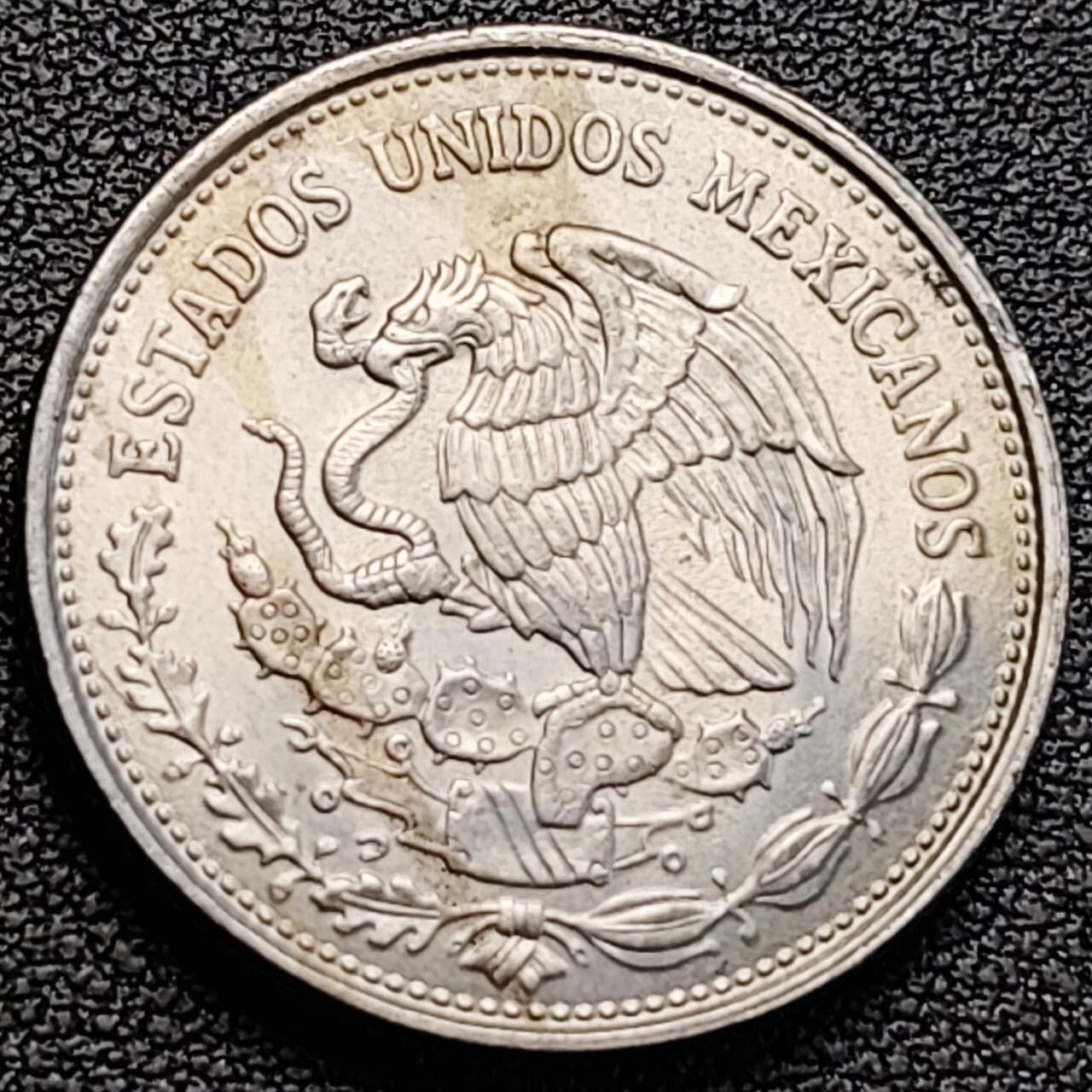 泉币菌-第189场- 精品福利场（192场和之前的 2月14日发货） 。